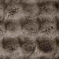 d7e5776a312d6678225594f509dce552