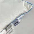 Evolution zoom pillow.jpg
