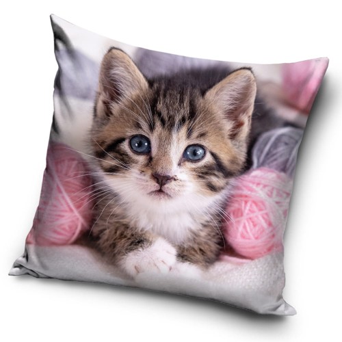 ffc1ee5fafb6134c127ccb2170e64c0c