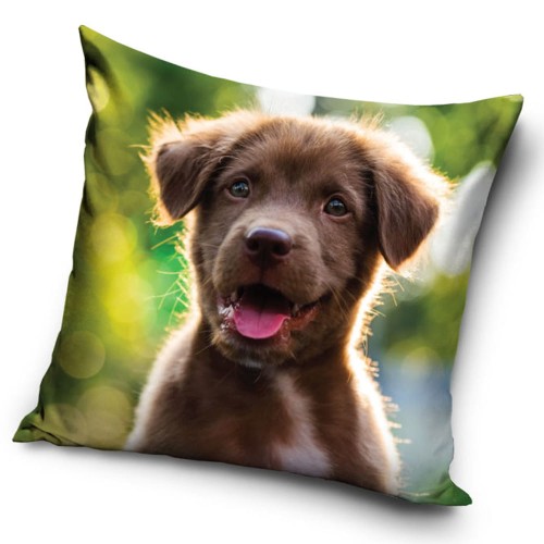 858c830c0ea284ebca7763ac11a40146