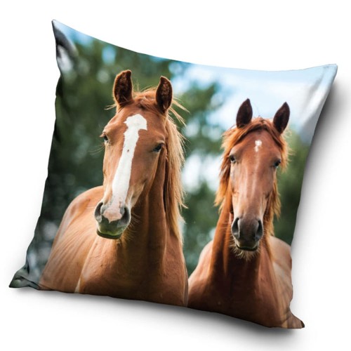 a7ddfdae2252d364d2d27c78801614e2