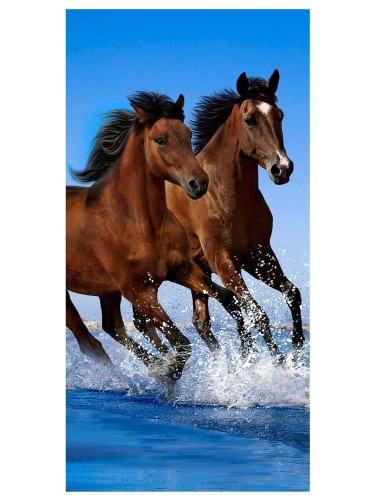 5f5dcbc7d5f28793ac0a3001f9d35894