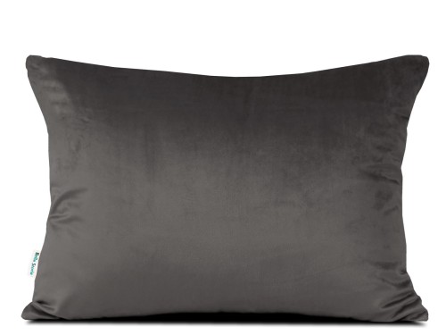 2d2c11b0ffbb7542a2b950f4e05ce47e