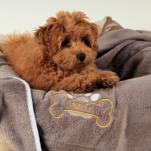 Koc szary dla psa - haftowane imię